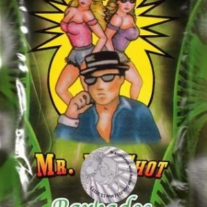 Mr. Big Shot Herbal Incense