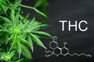 Read more about the article Why Synthetic Cannabinoids Are Banned in Many States: 7 Key Reasons