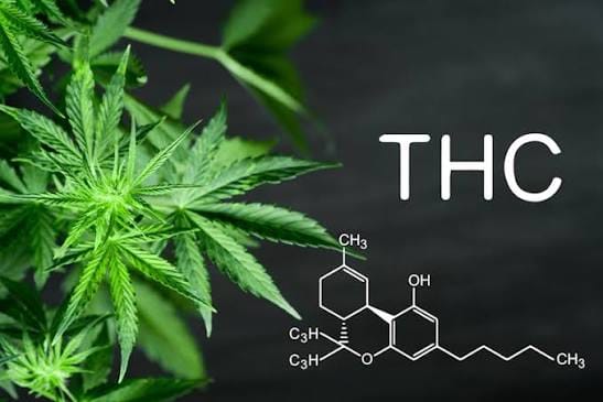 You are currently viewing Why Synthetic Cannabinoids Are Banned in Many States: 7 Key Reasons